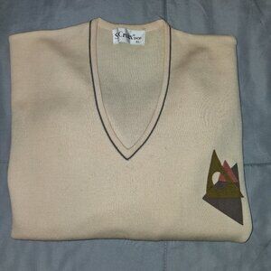 Men's 100% Zephyr Wool V-Neck Sweater